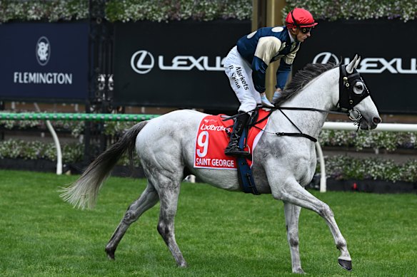 Blake Shinn’s Melbourne Cup mount Saint George was scratched from the race on Thursday after failing to pass mandatory pre-race scans. 