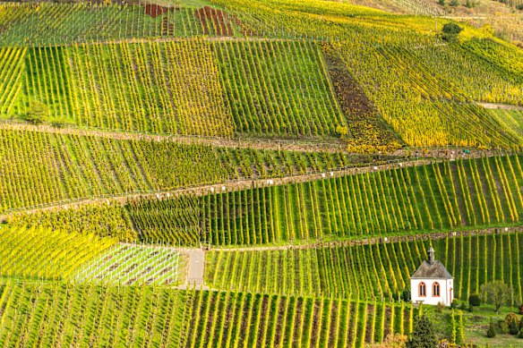 The Moselle Valley’s wine heritage, which can be traced to Roman times, is visible almost everywhere.