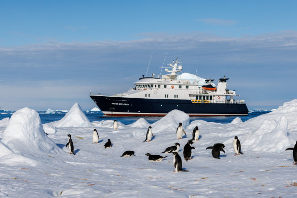 “Off the beaten cruise track”: the Hanse Explorer in Antarctica