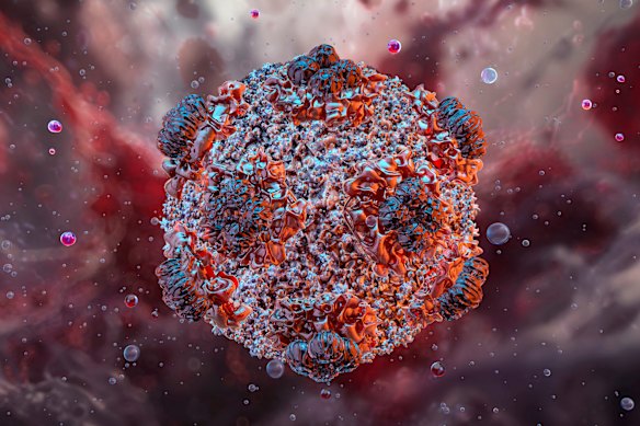 An illustration of a hantavirus, a rodent-borne virus that causes flu-like symptoms and eventually causes the lungs to fill with fluid.