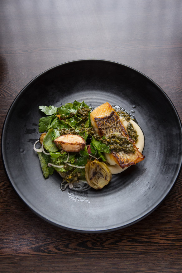 The sea bream.