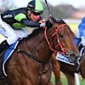 Race-by-race preview and tips for Randwick on Saturday
