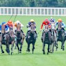 Horses race at Sydney’s Royal Randwick racecourse.
