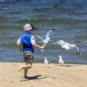 Scorching summer temperatures to bring in the New Year for Victorians
