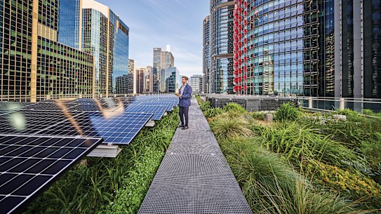 A Lendlease staff member visits the rooftop of  Daramu where a scientific study found the rooftop garden increased the efficiency of the solar panels. 