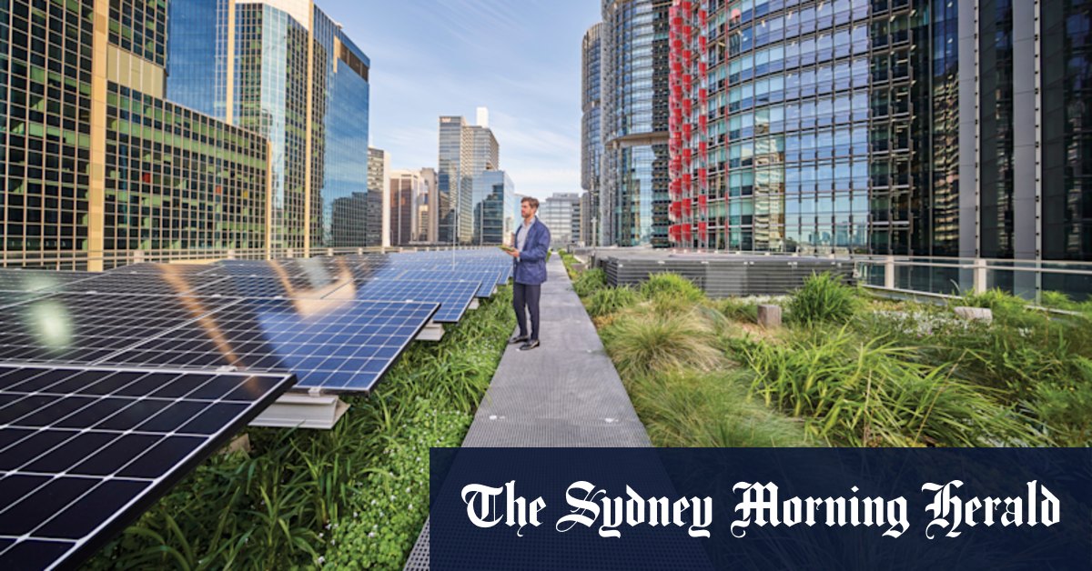 Bio-solar green roof to be showcased on Bradfield city centre's first building - Vimarsana News