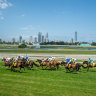 Magic Millions set to break more records on race day