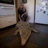 'She's a sweetheart': Owner to farewell 'beautiful' suburban pet croc