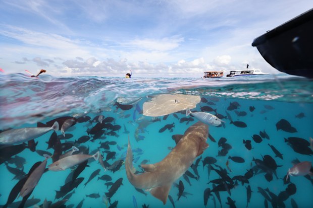 Anantara Veli Resort Maldives