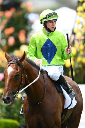Our Playboy, with Damian Lane on board, won the Incognitus Recognition Trophy at Flemington earlier this month.