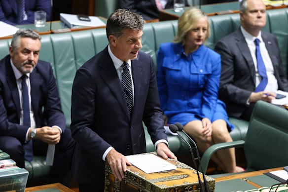 Opposition Leader Angus Taylor in question time today.
