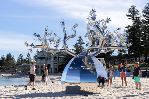 ‘The Boab’ at Cottesloe 2021. 