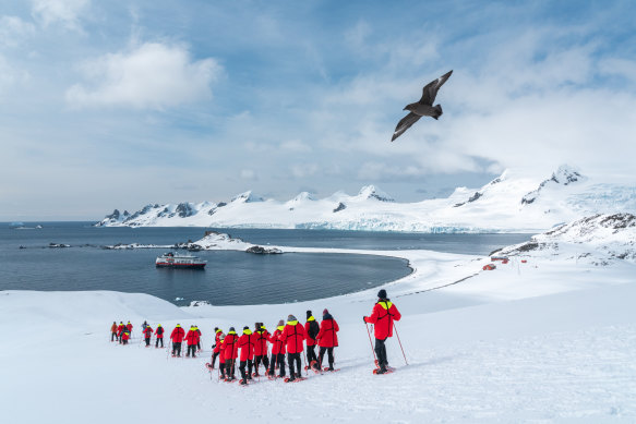 Wildlife bingo… a southern giant petrel glides above guests.