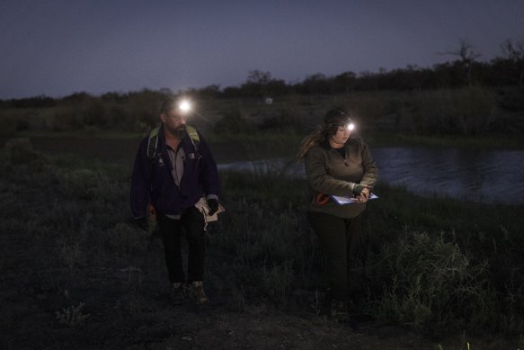 Charles Sturt University researcher Damian Michael and research assistant Amy Daeche search for grey snakes.