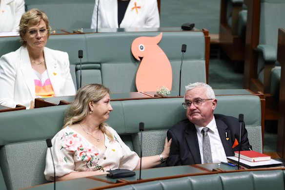 Rebekha Sharkie and Andrew Wilkie during tributes to Helen Haines in federal parliament on Monday.