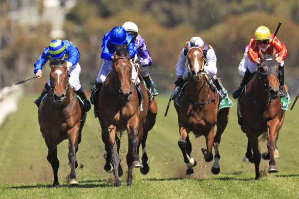 Tim Clark (left) urges Snitzonfire up on the inside to win at Rosehill in October.