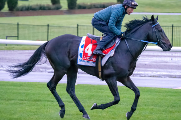 Damien Oliver rides Gold Trip in track work at Moonee Valley.