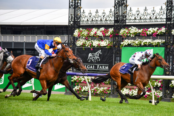 Santa Ana Lane flashes home for second behind Sunlight in last Saturday's Gilgai Stakes.