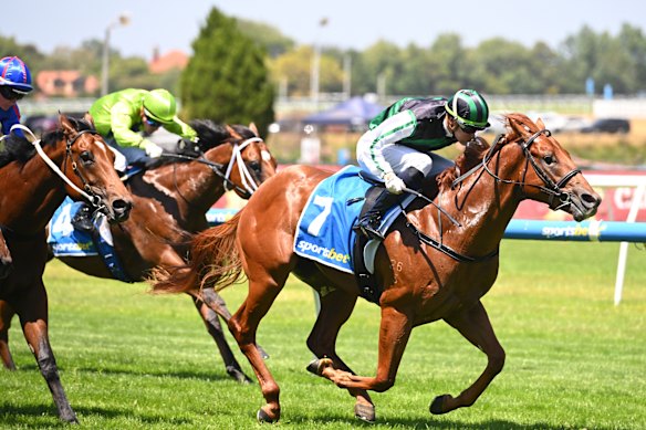 The Danny O’Brien-trained Closer To Free wins a lead-up race for Saturday’s $2m Blue Diamond.