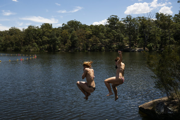 Swimmers take a leap at Lake Parramatta on Tuesday.