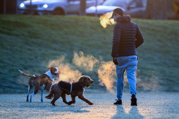 In the early hours, the dog park is a great neutraliser of class and wealth.