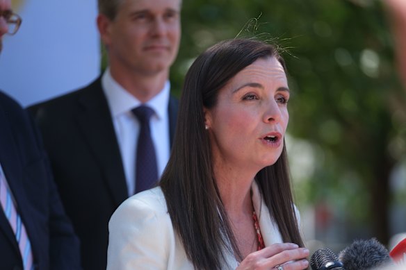 NSW Natural Resources Minister Courtney Houssos.