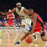 Cotton, Manek star as Wildcats claim back-to-back NBL wins