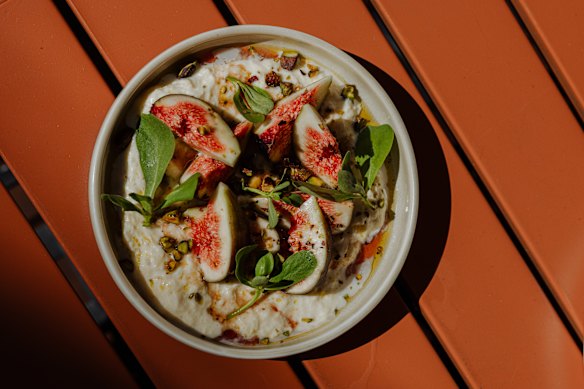 Black fig, stracciatella, purslane, vincotto and pistachio.