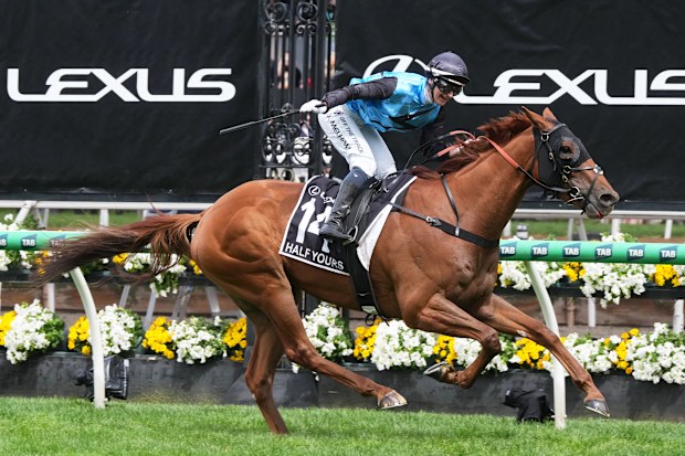 Melbourne Cup 2026 news, Half Yours to be withdrawn after Caulfield Cup ...