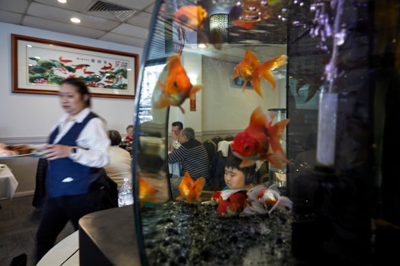 Hurstville Chinese Restaurant.