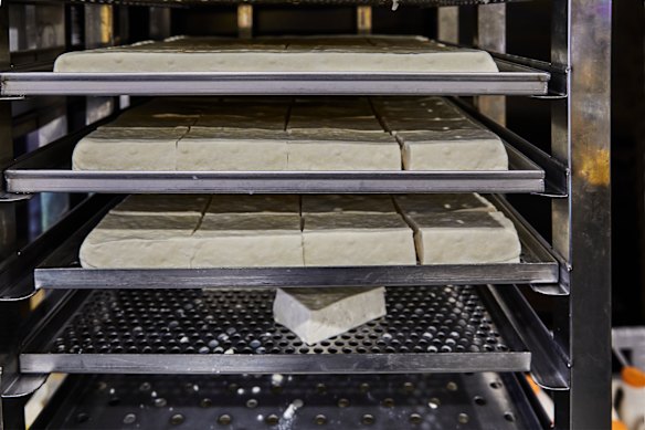 Fresh tofu. 