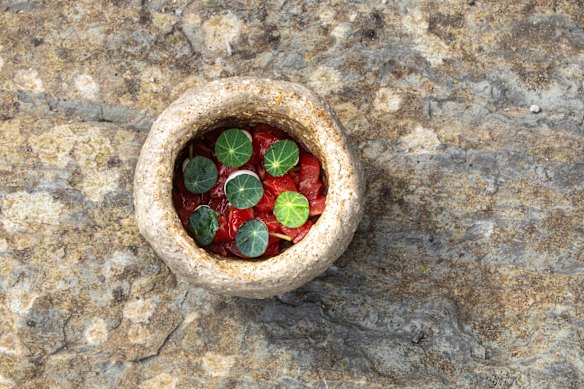The 14-course menu is set to include raw South Gippsland aged sirloin of beef in coal oil with whipped Sydney rock oysters and nasturtiums.