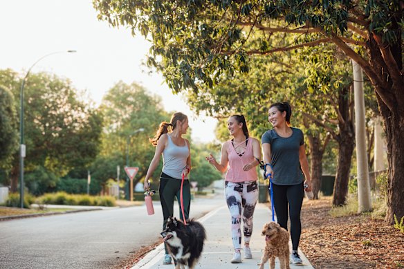 Going for a walk may help curb cravings for chocolate.