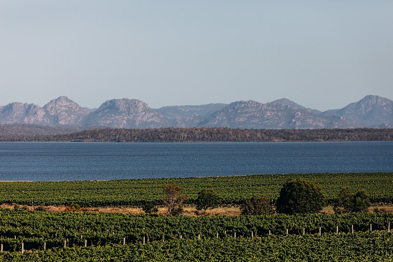 The Hazards in the distance, across the water from Moulting Lagoon and the vines of Devil’s Corner.