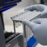 The head of Forensic Services Queensland has been given a show cause notice after contamination paused all testing.
