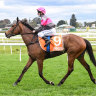 Sirileo Miss has returned to racing after testing positive to formestane, a product used to treat breast cancer.