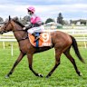 Sirileo Miss has returned to racing after testing positive to formestane, a product used to treat breast cancer.