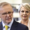 Plibersek faces major challenges as environment minister