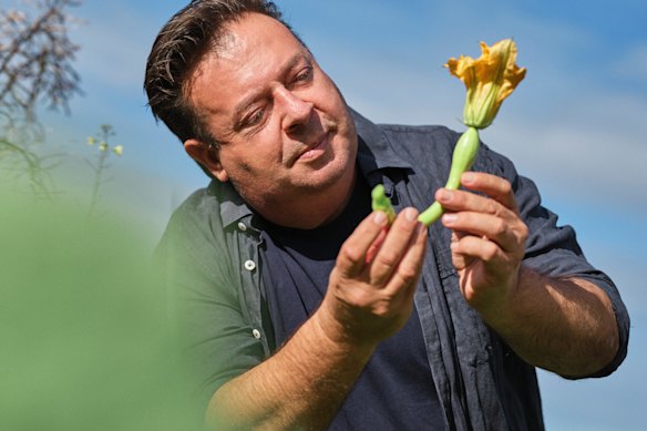 Peter Gilmore inspects a tromboncino flower. 