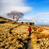 Top Withens, the ruined farmhouse on Haworth Moor, is said to be the inspiration for Emily Bronte’s Wuthering Heights.