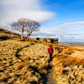 Top Withens, the ruined farmhouse on Haworth Moor, is said to be the inspiration for Emily Bronte’s Wuthering Heights.