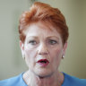 One Nation's Pauline Hanson says mothers are making up domestic violence claims to stop fathers getting access to their children.