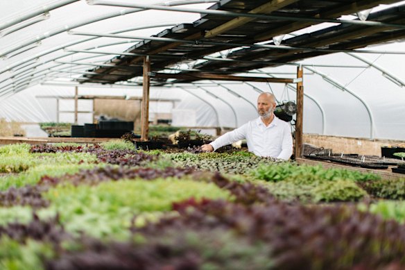 Simon Rogan inspecting grown-to-order produce at Newcastle Greens.