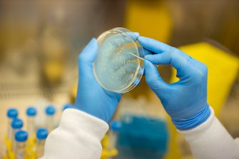 UQ has partnered with Moderna to develop mRNA vaccines for some of the world most devastating diseases.