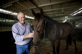 Owner Allan Endresz with his star galloper Alligator Blood, which is no longer allowed to race in NSW.
