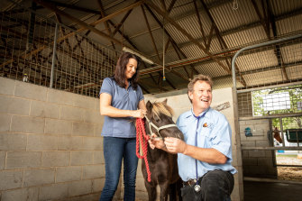 Equine vet Oliver Liyou turned his dental and reproductive centre into a temporary field hospital with his fiancee Corolyn and horse Larry. 