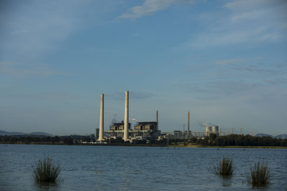 The Business Council’s member companies are big foreign multinationals, including producers of fossil fuels.