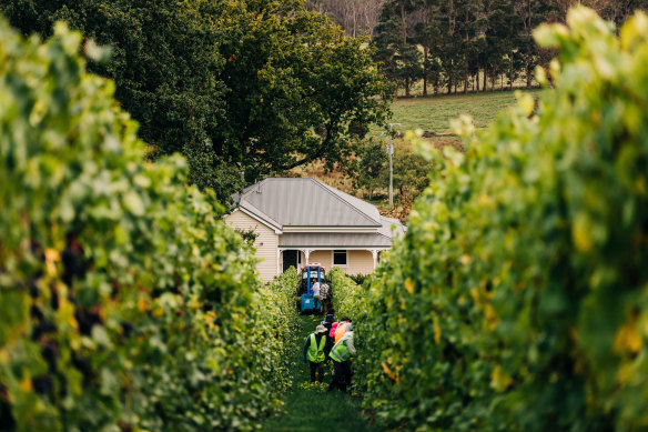 Pirie’s single-vineyard winery, Apogee. 