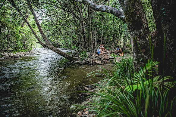 Cooking bush tucker… Walkabout Cultural Adventures.