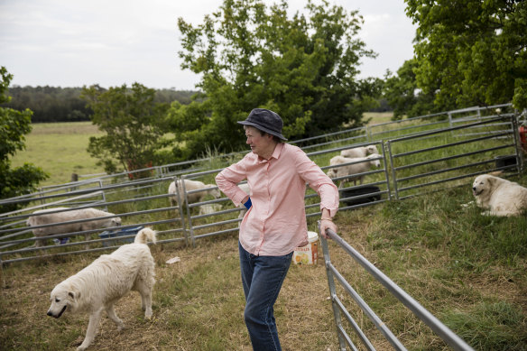 Louise Nichols, on her property near Singleton, says she’s often been laughed at for being a “greenie” newspaper editor in the middle of “the global capital of thermal coal”.
